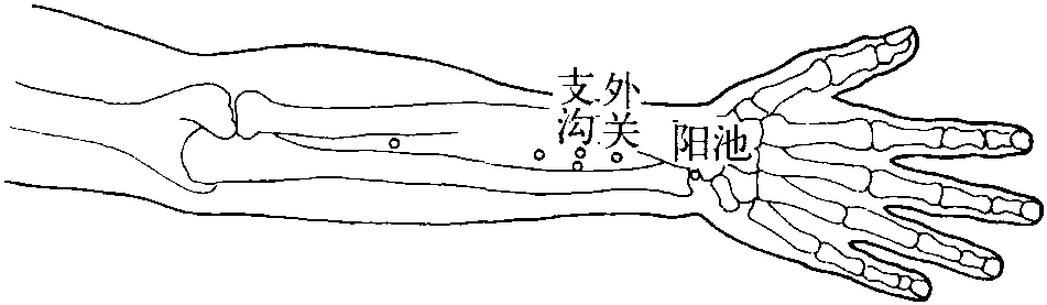 五、手少陽(yáng)